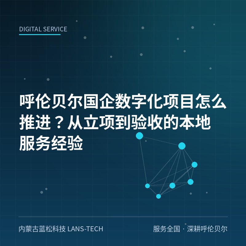 呼伦贝尔国企数字化项目怎么推进？从立项到验收的本地服务经验