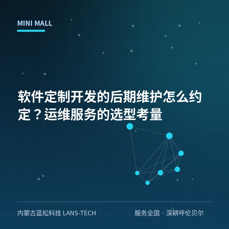 软件定制开发的后期维护怎么约定？运维服务的选型考量